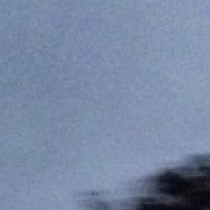 Meet your Posher, Hailey